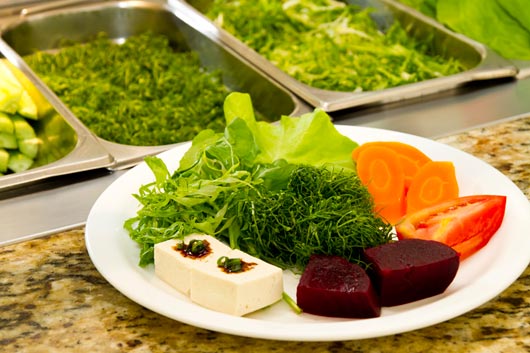 Saladas orgânicas